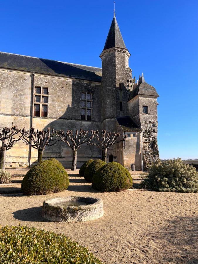 Maisons D'Hotes Du Chateau Au Grand Pressigny Le Grand-Pressigny Ngoại thất bức ảnh